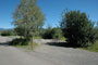 Aspen Grove 221