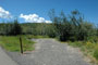 Aspen Grove 223