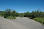 Aspen Grove 226
