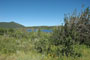 Aspen Grove View