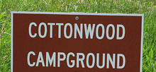 Rockport State Park Cottonwood