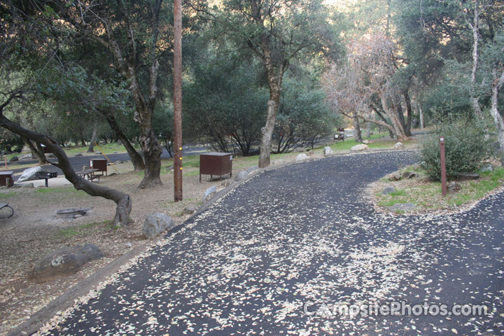 Potwisha Campground 030