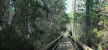 Blackwater River State Park