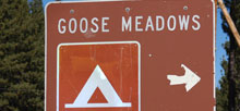 Goose Meadows