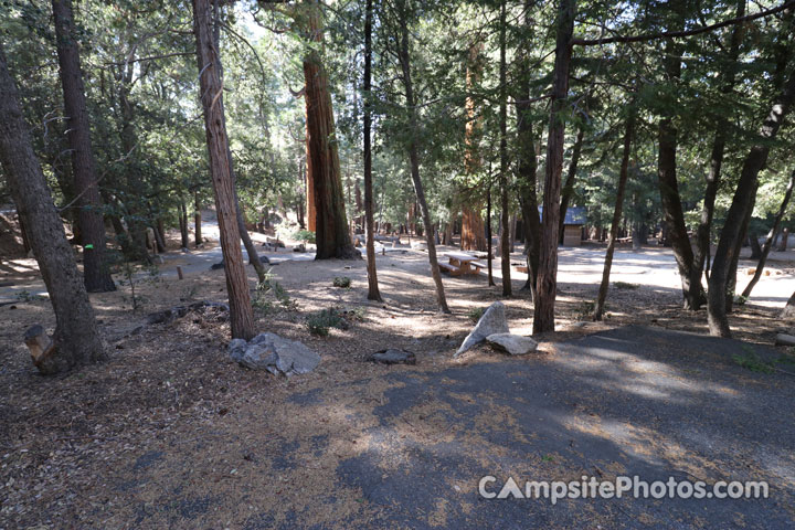 Fern Basin Campground 001