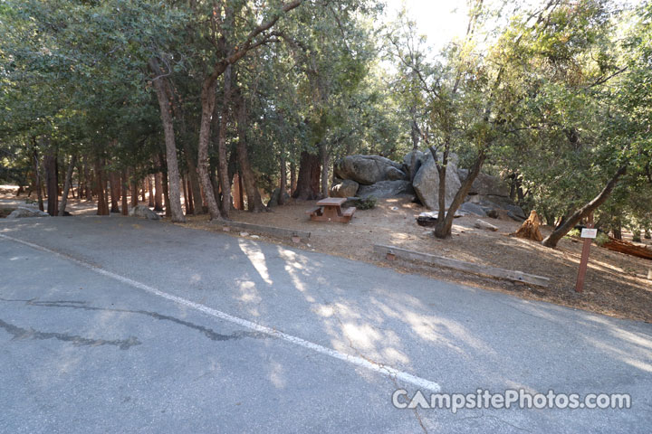 Fern Basin Campground 007