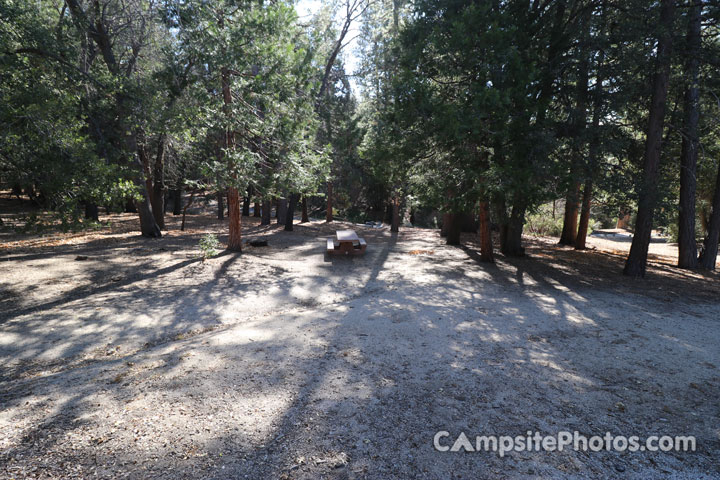 Fern Basin Campground 009