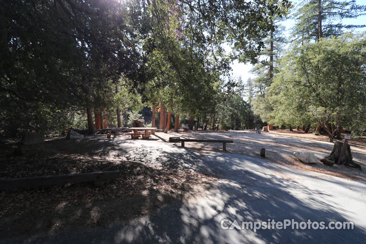 Fern Basin Campground 010