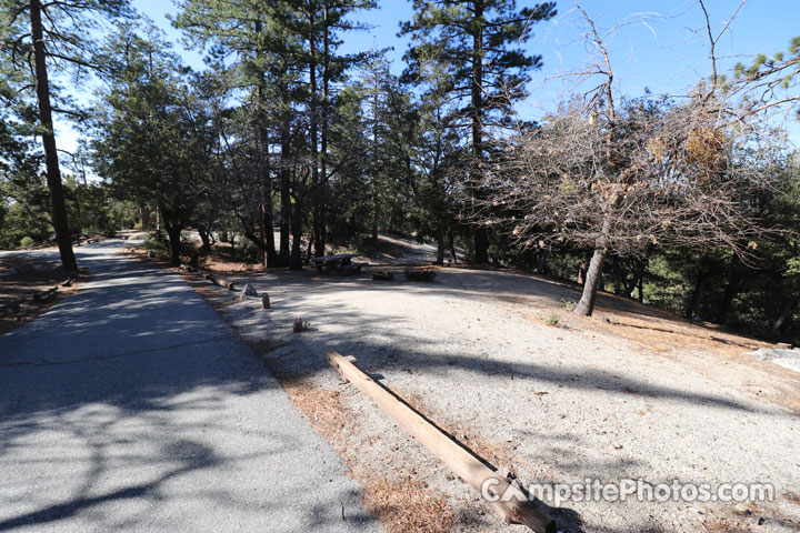 Fern Basin Campground 012