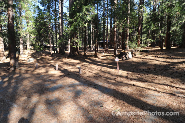 Fern Basin Campground 019
