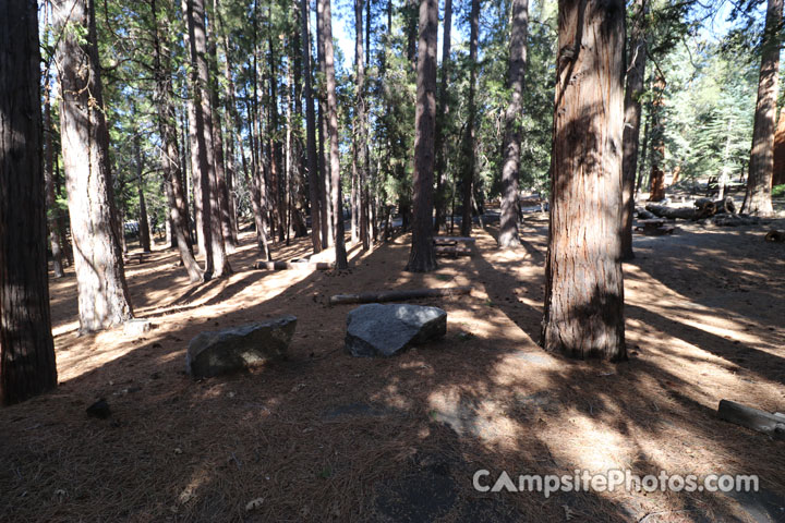 Fern Basin Campground 020