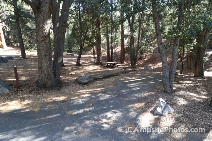 Fern Basin Campground 022