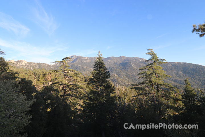 Fern Basin Campground Scenic