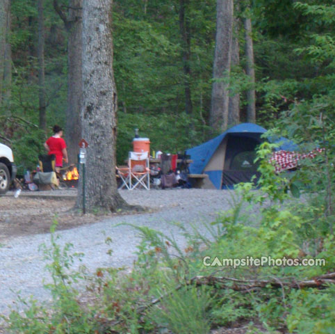 Rushing Creek Campground 003