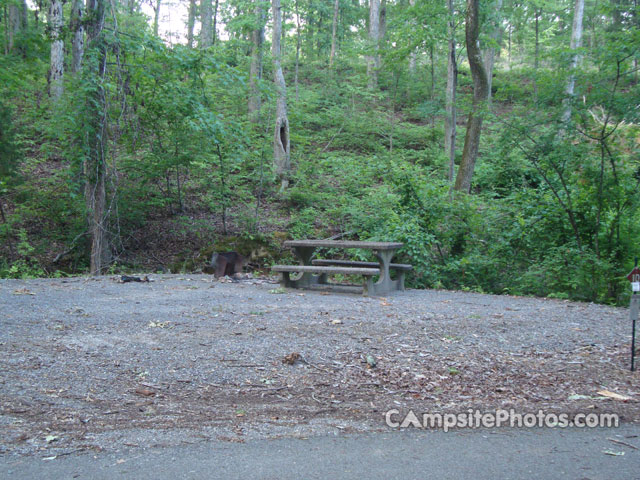 Rushing Creek Campground 010