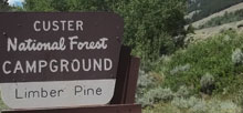 Custer National Forest