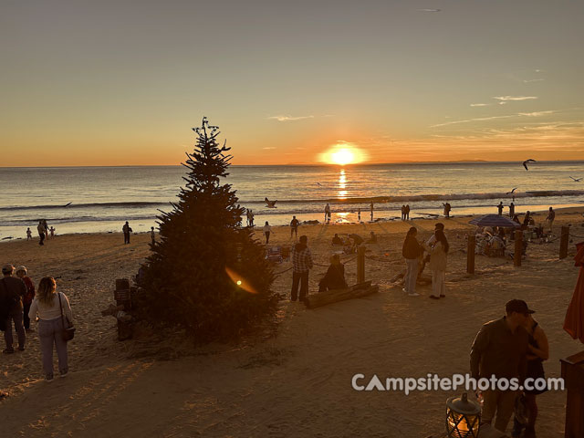 Crystal Cove Beach Cottages Christmas Tree