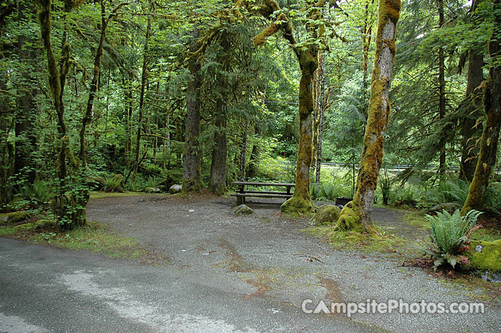 Verlot Campground 004