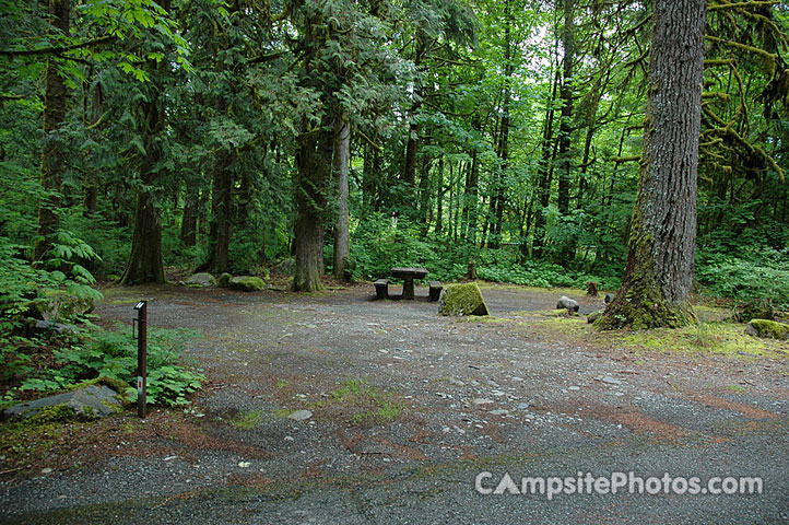 Verlot Campground 014