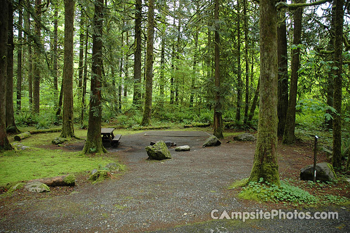 Verlot Campground 020