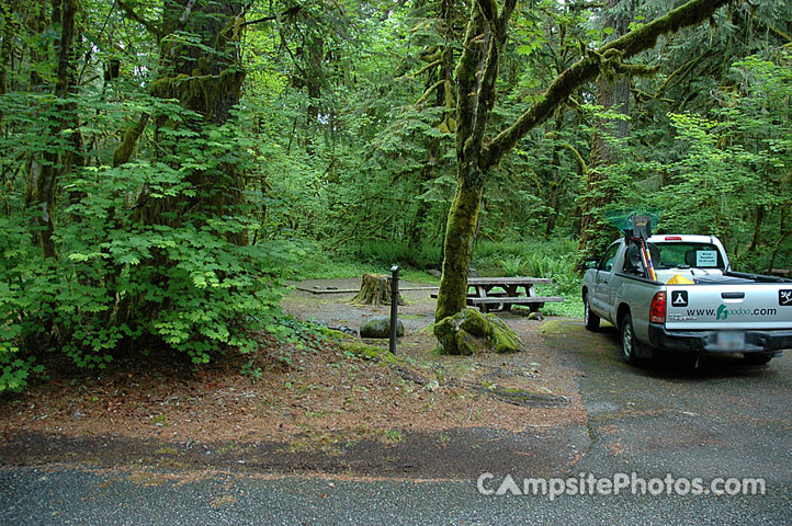 Verlot Campground 026