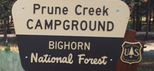 Prune Creek