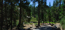 Lodgepole Tahoe