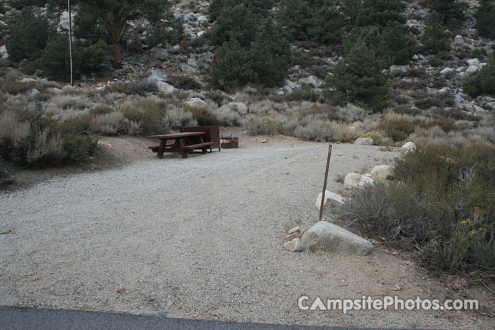 Big Trees Campground 001