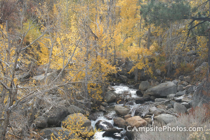 Big Trees Campground Creek Scenic