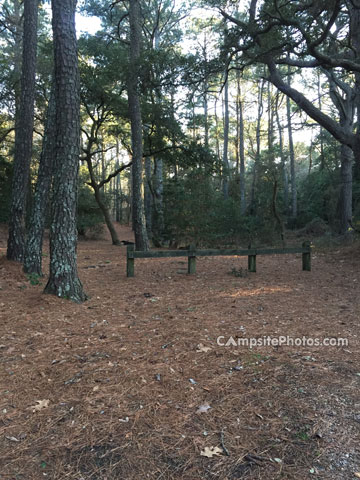 First Landing State Park 103