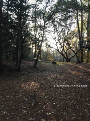 First Landing State Park 114
