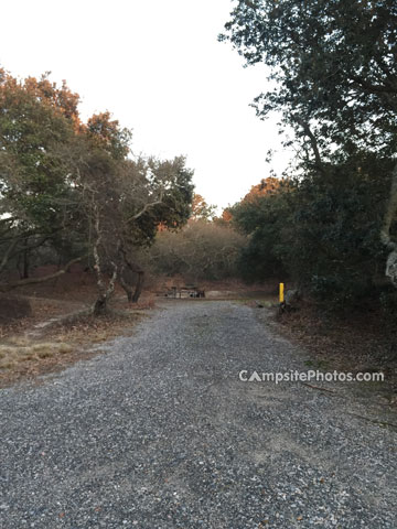 First Landing State Park 178