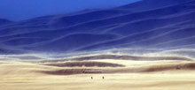 Great Sand Dunes National Park Pinon Flats