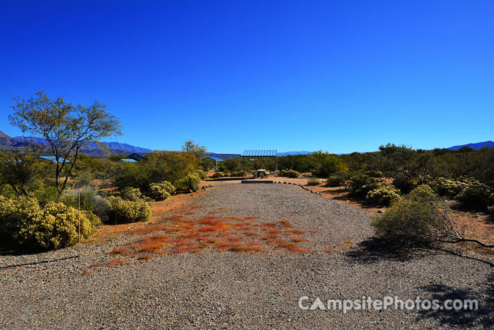 Cholla 136
