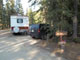 Many Pines 002