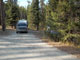 Many Pines 011