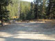Many Pines 014