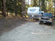 Many Pines 015