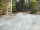Many Pines 020
