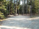 Many Pines 021