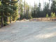 Many Pines Group