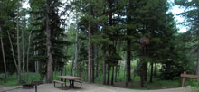 Circle Park Bighorn National Forest