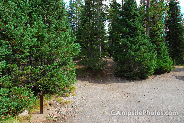 Lewis Lake Campground 045