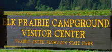 Prairie Creek Redwoods State Park &#8211; Elk Prairie