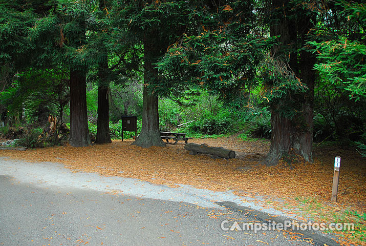 Van Damme State Park 011