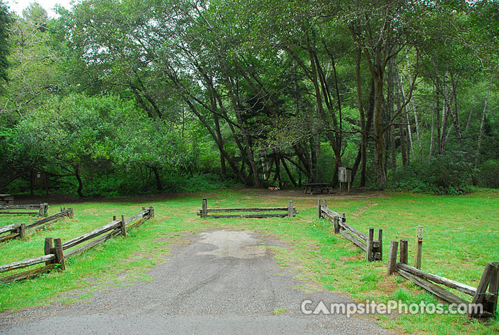 Van Damme State Park 015