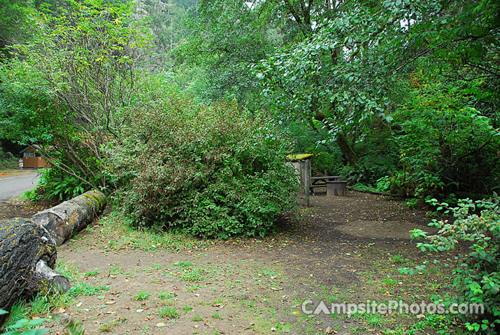 Van Damme State Park 023