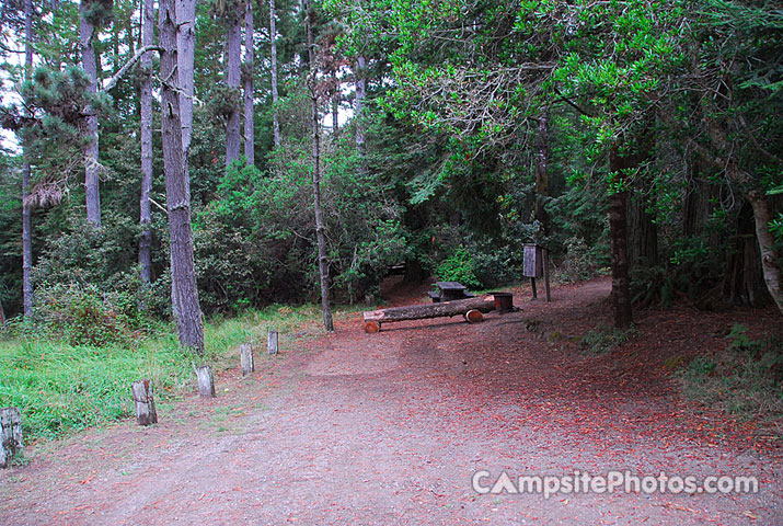 Van Damme State Park 055