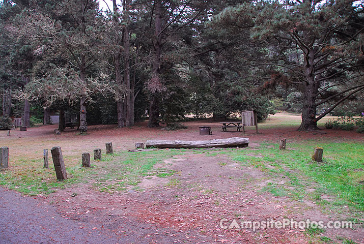 Van Damme State Park 059