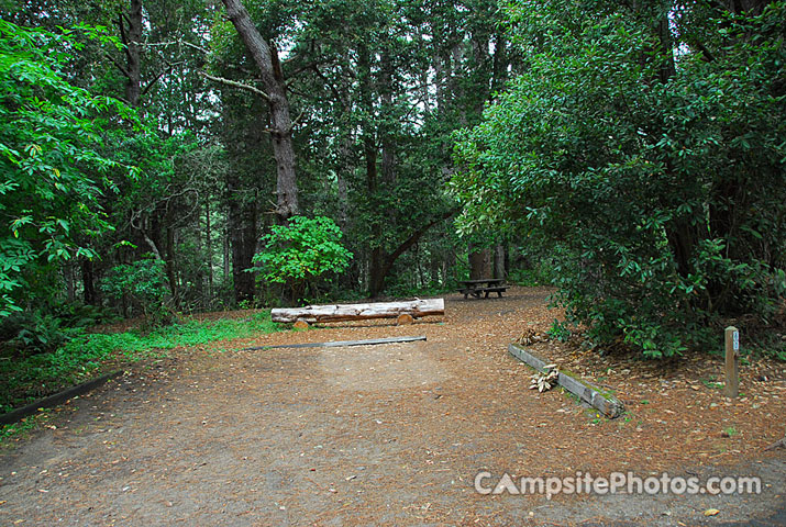 Van Damme State Park 060